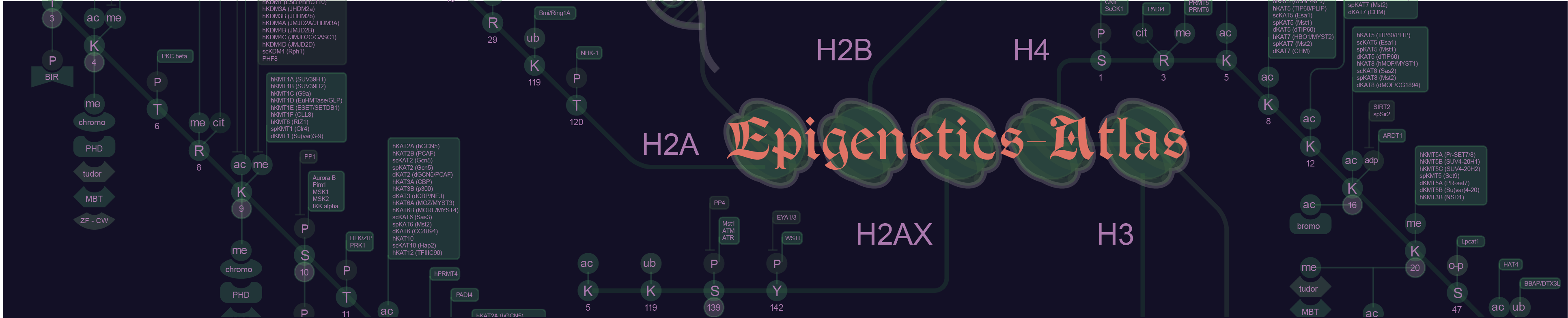 Epigenetics-Atlas Banner